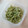 アクセル☆'s cooksnap of when they made お弁当やおにぎりにも☆大根の青のり炒め.