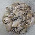 syoayamama's cooksnap of when they made 牡蠣の下処理方法♪.