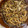 ☆yopipi's cooksnap of when they made 絶品ソース焼きそば♪簡単旨いモヤシ＆豚肉.