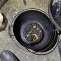 nara_BOSS's cooksnap of when they made 水切りヨーグルトでバスク風チーズケーキ.