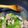 クック7XE1N6☆'s cooksnap of when they made レタスと鶏モモ肉の旨塩レモン炒め.