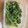 sayooo's cooksnap of when they made ほうれんそう黒胡麻あえ♪簡単レシピ.