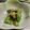 美らはいび's cooksnap of when they made モロッコインゲン の胡麻味噌合え.