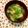 ふたごゆき's cooksnap of when they made 朝食♪じゃが芋とワカメと油揚げのお味噌汁.