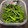 クックC5VAQ3☆'s cooksnap of when they made 青ねぎのごま油和え.