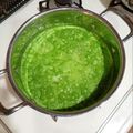 candyboat's cooksnap of when they made 大根の葉のポタージュ.