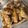 クックVU7DSC☆'s cooksnap of when they made 子供もパクパク！サバのカレー竜田揚げ.
