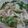 クックCY3133's cooksnap of when they made 簡単あったかワンタンスープ.