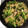 せいかくん's cooksnap of when they made 新潟のお母さんの味★煮菜.