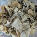 ☆ゆきじるし☆'s cooksnap of when they made 保存食「きのこのオイル漬け」.