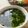 にゃつめ〜's cooksnap of when they made 茗荷*三つ葉*わかめのすまし汁.