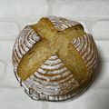さっちゃん←元こ茄子's cooksnap of when they made 全粒粉入りカンパーニュ.