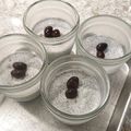 ハチワレねこ's cooksnap of when they made 黒ごまプリン.