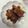 けーぴぃ＊'s cooksnap of when they made がっつり！スペアリブのこってり煮.