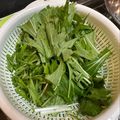 ٩(^‿^)۶'s cooksnap of when they made 水菜が長持ち＊我が家の保存方法.