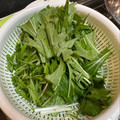 ٩(^‿^)۶'s cooksnap of when they made 水菜が長持ち＊我が家の保存方法.