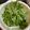 ٩(^‿^)۶'s cooksnap of when they made 水菜が長持ち＊我が家の保存方法.