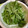 ٩(^‿^)۶'s cooksnap of when they made 水菜が長持ち＊我が家の保存方法.