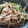 あかぷり's cooksnap of when they made もやしときゅうりのナムル.