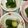 なーなちゃん's cooksnap of when they made 【作り置き】病みつきにんにく蛇腹きゅうり.