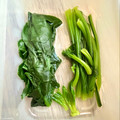 悠LOVE航's cooksnap of when they made ほうれん草、茎と葉と分けて保存.