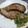 natsukori's cooksnap of when they made なすの田楽.
