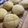 クック25FJ6B☆'s cooksnap of when they made ふわサクッ＊HBお任せメロンパン.