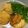 クックRYU81K☆'s cooksnap of when they made 明石焼き（玉子焼き）たちばなの味☘️.