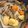 ☆aksmam☆'s cooksnap of when they made 牛肉の旨味最大限に引き出す基本の肉じゃが.