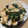 わかポン☆'s cooksnap of when they made やわらか〜☆むね肉とほうれん草の簡単炒め.