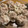 ヒロクミ's cooksnap of when they made ☆シュウマイ☆焼売.
