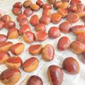 〜みみ〜's cooksnap of when they made 生栗は下処理(虫止め)後に熟成させよう.