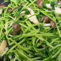 なーなちゃん's cooksnap of when they made こんがりしめじと豆苗の炒めナムル.