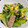 コロどろっぷ's cooksnap of when they made 小松菜と卵の中華炒め.