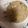 しょうこるん's cooksnap of when they made しらすチャーハン.