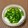 にきけん's cooksnap of when they made 小ネギの保存方法～♪.