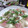 ☆★ケイト★☆'s cooksnap of when they made 簡単！おもてなし☆洋風ちらし寿司.
