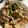 さちぶた♪'s cooksnap of when they made メインにも✩.*˚水菜と豚肉のさっと煮.