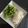 。かのこ。's cooksnap of when they made 浅漬け（浅漬けの素）.