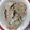 ☆★ケイト★☆'s cooksnap of when they made れんこんとクリームチーズのきんぴら.