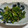 チャボちゃぼ's cooksnap of when they made 【茹でてまぜるだけ】ごまおかかほうれん草.