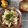 sorasoraの庭's cooksnap of when they made みょうがご飯.