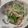 0720まま's cooksnap of when they made 新たまねぎとカニカマのサラダ.