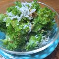 リンリン☆☆☆'s cooksnap of when they made 簡単ケールサラダ　アレンジ無限大.