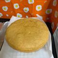 クックVWM9J8☆'s cooksnap of when they made 炊飯器で簡単★きな粉ケーキ.