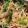 a_mam10's cooksnap of when they made 新味バターソースのマカロニアスパラサラダ.