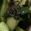 MULA's cooksnap of when they made 簡単♡きゅうりと塩昆布の3分おつまみ.
