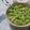 まぶたん's cooksnap of when they made 枝豆の薄皮を手早く剥く！.