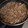 吉田武士's cooksnap of when they made ごぼうの牛しぐれ煮.