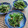 ひっこ's cooksnap of when they made ほうれん草のめんつゆで胡麻和え.